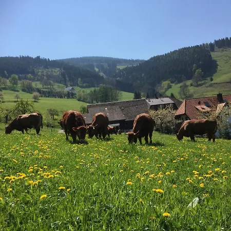 Ferienwohnung Dreisamtal - Maierhof In Oberried *