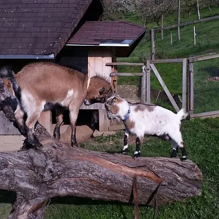Appartamento Ferienwohnung Dreisamtal - Maierhof In Oberried