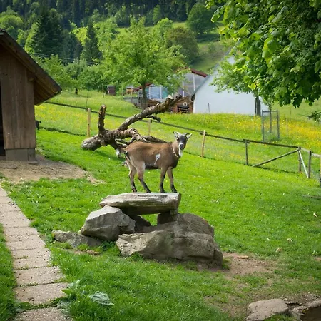 Appartamento Ferienwohnung Dreisamtal - Maierhof In Oberried *